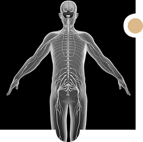 Nerve Compression & Nerve Injuries